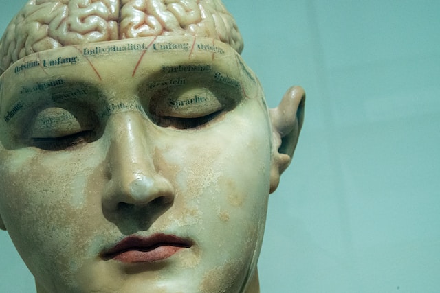 Brain Limiting Beliefs About Money